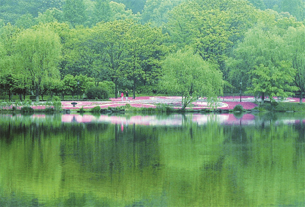 春 王永春摄.jpg