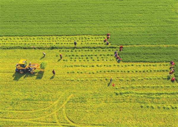 1710601823692778.jpg 1-3 图3 春耕.jpg