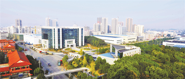 1724762007118175.jpg 5-5 5 劲牌压题图片.jpg