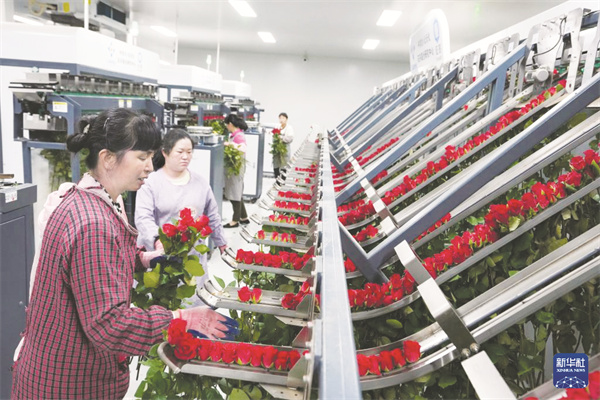 4-1 1 云南晋宁.jpg