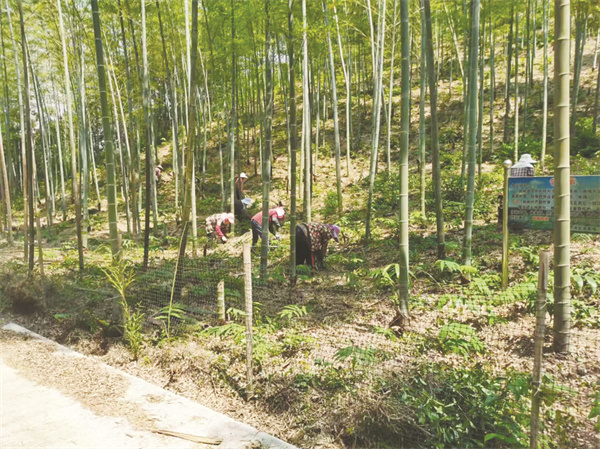 4-2 2 广告配图 必发.jpg