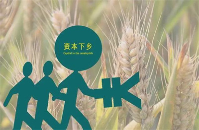 1734770302552710.jpg 2 资本下乡.jpg