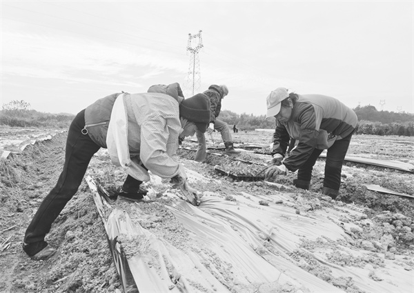 7-4 5图片新闻 闪耀生.jpg