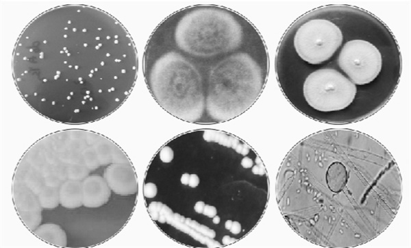 1734956872582880.jpg 6-5 5山西汾酒:冬酿进行时.jpg