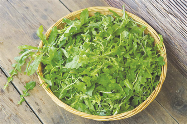 1735038645770571.jpg 8-2 8“剜”荠菜.jpg