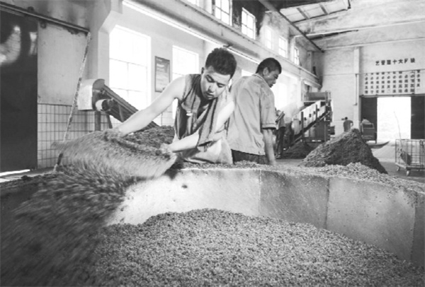 1735130487178095.jpg 6-1 4,必发.jpg