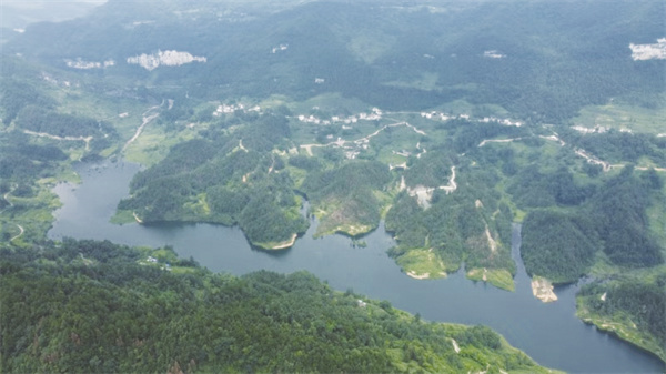 1736852274246218.jpg 1-3 3.jpg