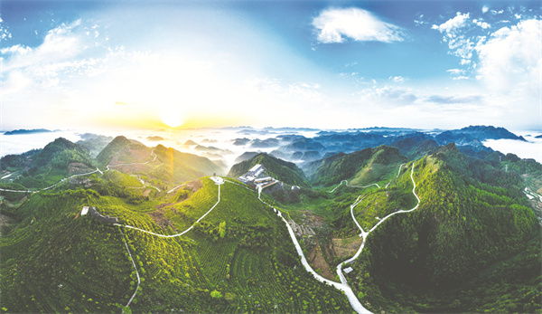 1737383179349215.jpg 5-1 1主图.jpg