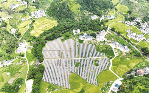 4-3 5，江西遂川：光伏阵.jpg