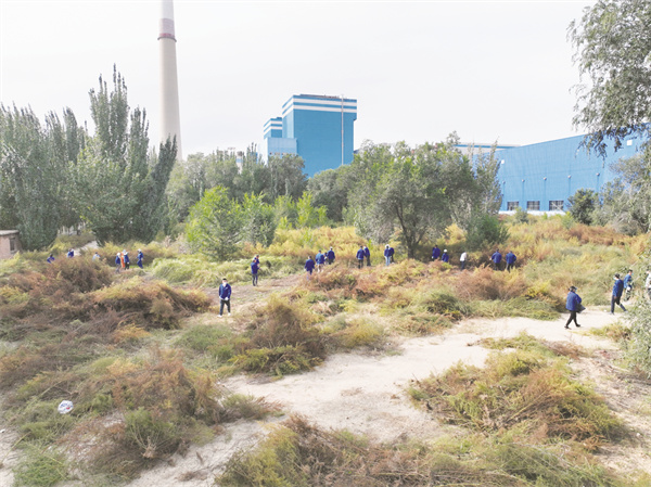 8-4 图5一机集团150名职工参与除草志愿活动.jpg