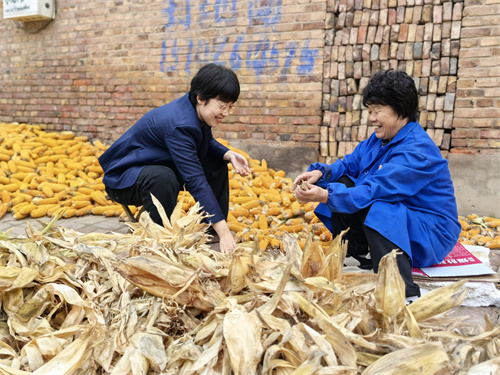 3必发 河北平乡县烟草.jpg