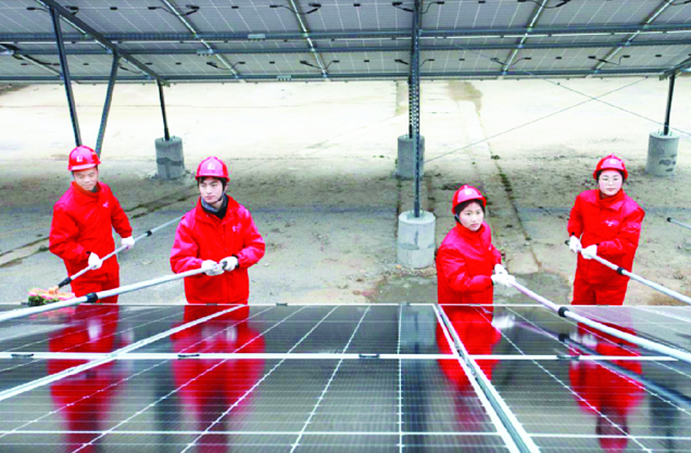 1761810265564814.png 81.png