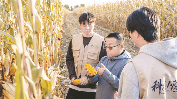 1761830037978511.jpg 5-4 图5盐碱地里种出.jpg