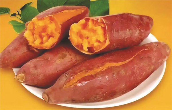 1762262592115667.jpg 8-2 4.jpg