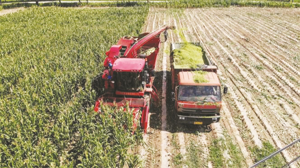 1764237142211859.jpg 8-3 6 2 田园公司机械回收采.jpg