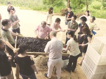 1489665854998165.jpg 4.jpg