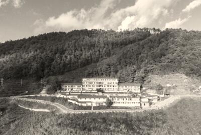 1489818392285515.jpg 1.jpg