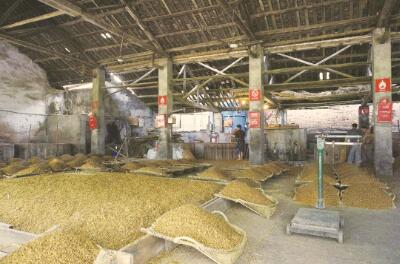 1490169587746257.jpg 1.jpg