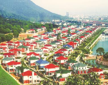 1490240652115690.jpg 1.jpg