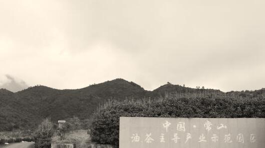 1491390885100048.jpg 4.jpg