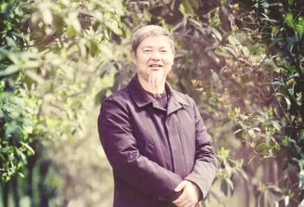 1491994315170190.jpg 1.jpg