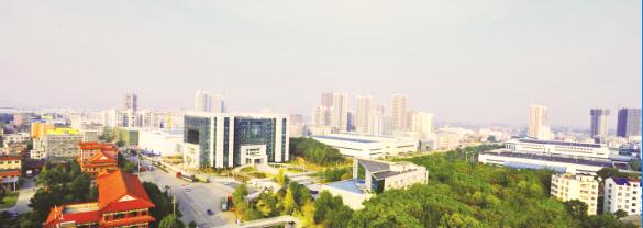 1491996913129491.jpg 1.jpg