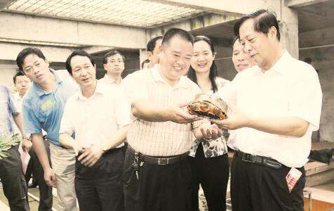 1495452016123996.jpg 3.jpg