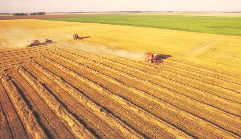 1495716040664797.jpg 2.jpg