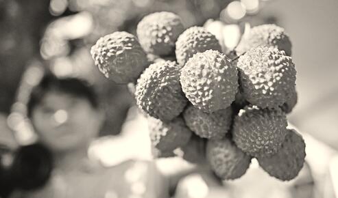 1530282868155387.jpg 1.jpg