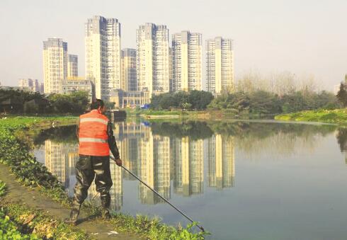 1530613963671812.jpg 1.jpg