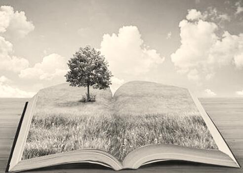 1530615114120979.jpg 1.jpg