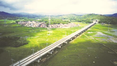 1531489100115557.jpg 1.jpg