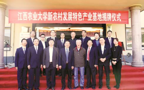 1540902264116646.jpg 4.jpg