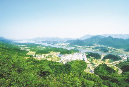 1540982992862572.jpg 1.jpg