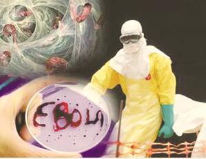 1544003329882753.jpg 1.jpg