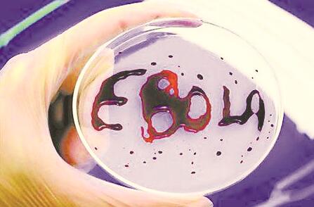 1544003334227552.jpg 2.jpg