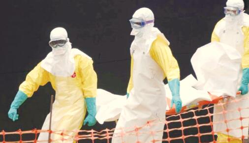 1544003342721298.jpg 3.jpg