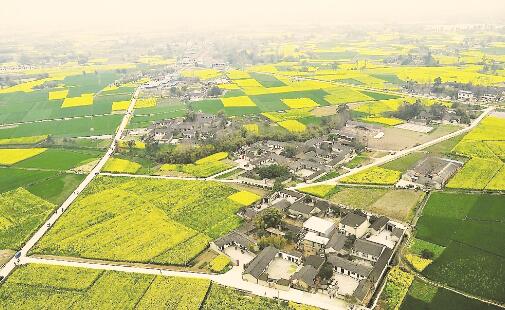 1544006962350106.jpg 1.jpg