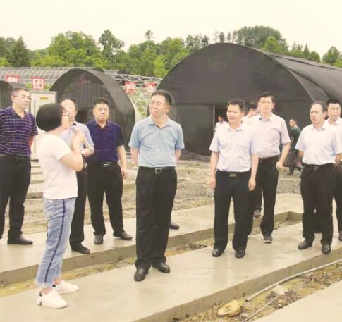 1544439627895792.jpg 2.jpg