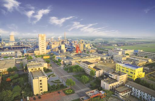 1544693686630071.jpg 2.jpg