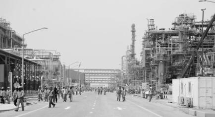 1555070460539446.jpg 2.jpg