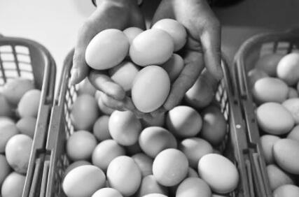 1556336750645476.jpg 1.jpg