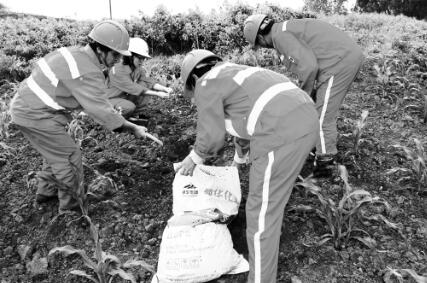 1556337334429844.jpg 1.jpg