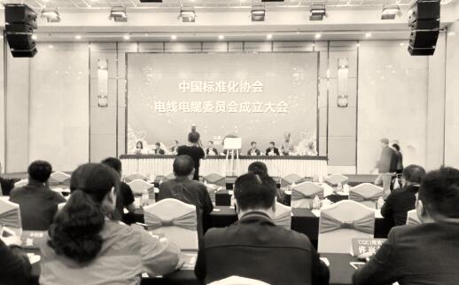 1558352733683947.jpg 2.jpg