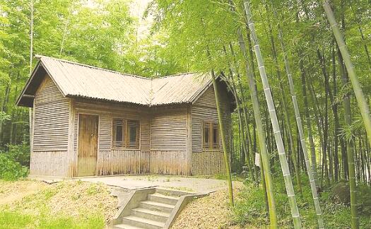 1559047370122434.jpg 1.jpg