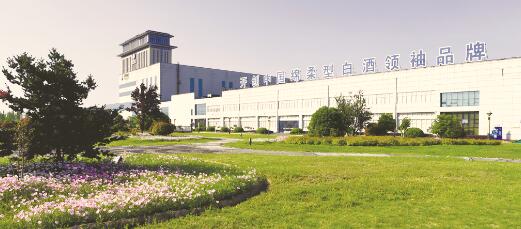 1559309519142865.jpg 2.jpg