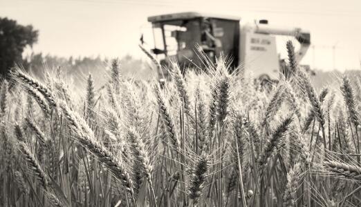 1565612090642507.jpg 1.jpg