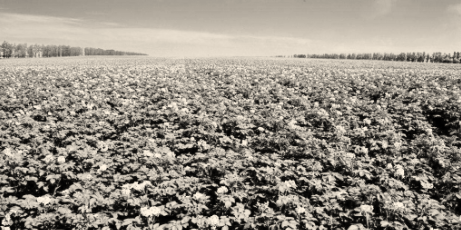 1567173491433803.png 1.png