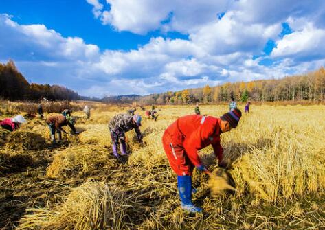 1567685316905474.jpg 2.jpg