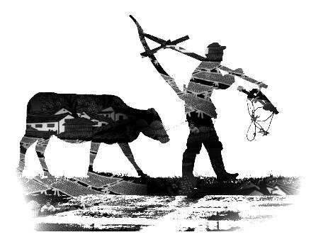 1567685512106856.jpg 3.jpg